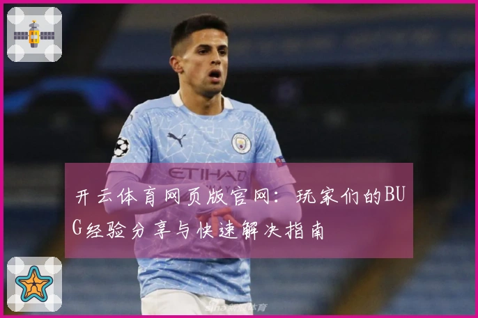 开云体育网页版官网：玩家们的BUG经验分享与快速解决指南