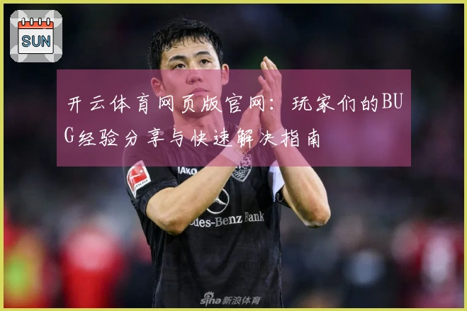 开云体育网页版官网：玩家们的BUG经验分享与快速解决指南